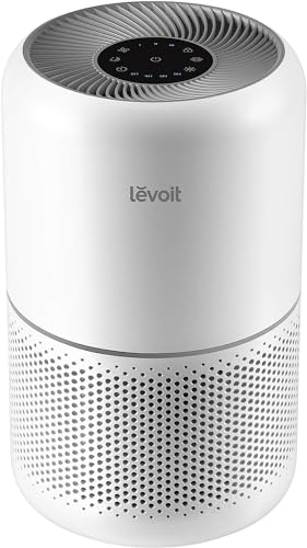 Best Air Purifier for Kitchen Odors