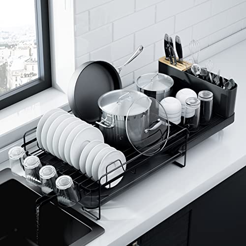 Best Best Best Dish Rack for Kitchen