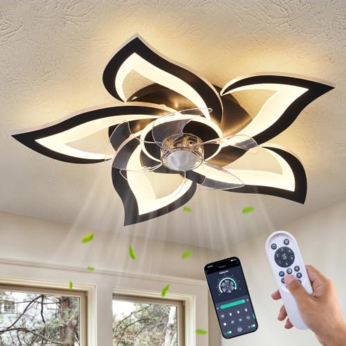 Best Ceiling Fans for Kitchen