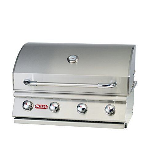 Best Grill Insert for Outdoor Kitchen