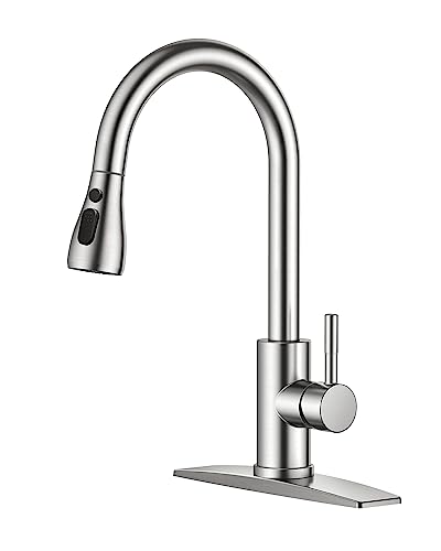 Best Kitchen Faucet for Rental Property