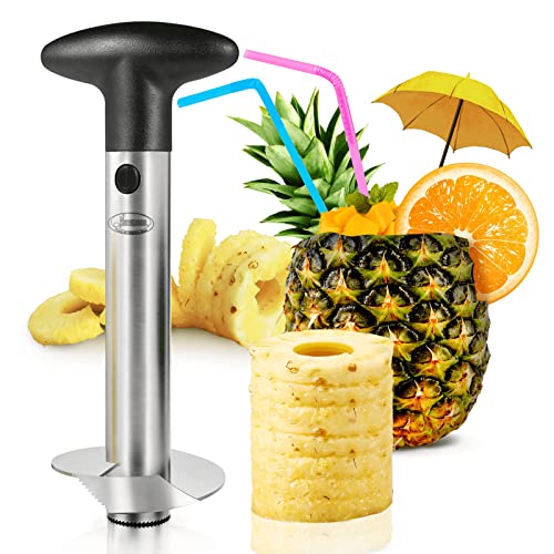Best Pineapple Corers