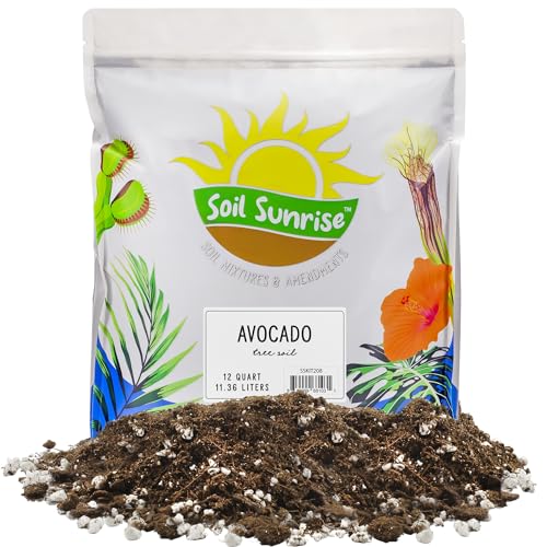 Best Soil for Avocado Tree