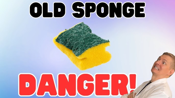 How Do You Clean Kitchen Sponges
