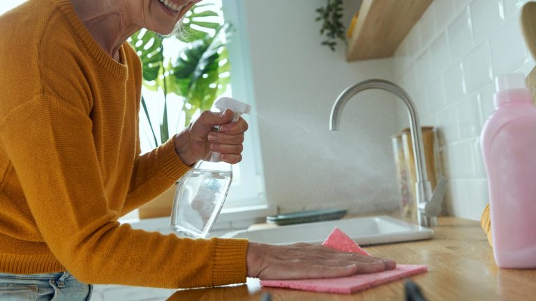 How to Get Rid of Ants on Kitchen Countertop