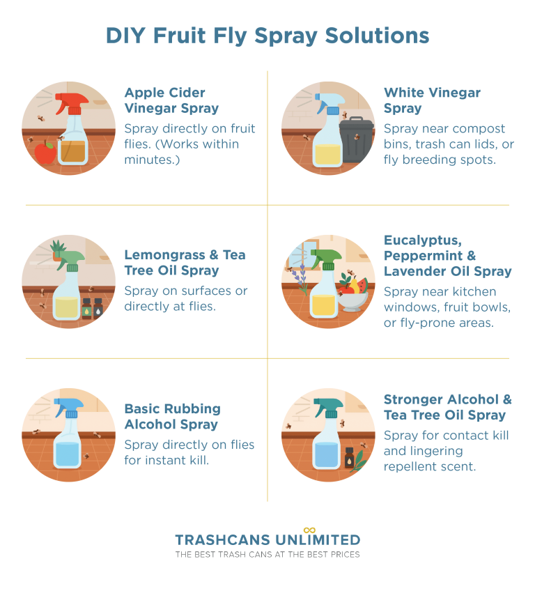 How to Get Rid of Fruit Flies in Kitchen