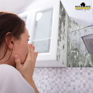 How to Remove Mold from Kitchen Cabinets